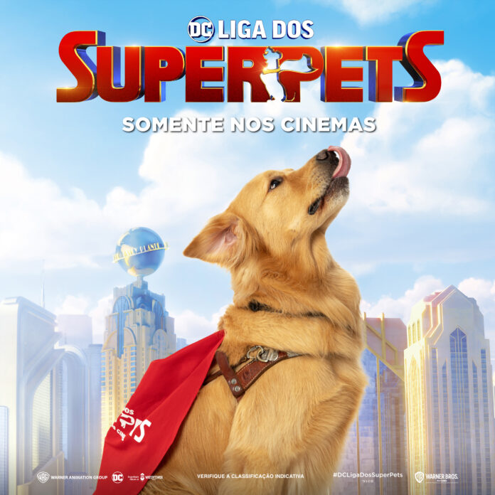 Animais do Instituto Magnus são estrelas em sessão de fotos de DC Liga dos Superpets