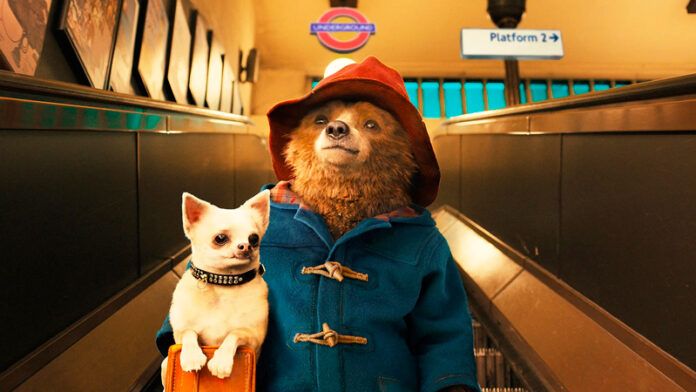 ursinho Paddington